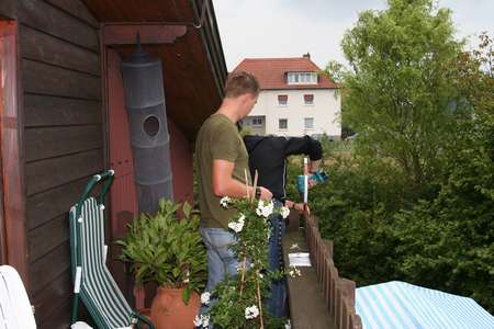 n_img_6572.jpg